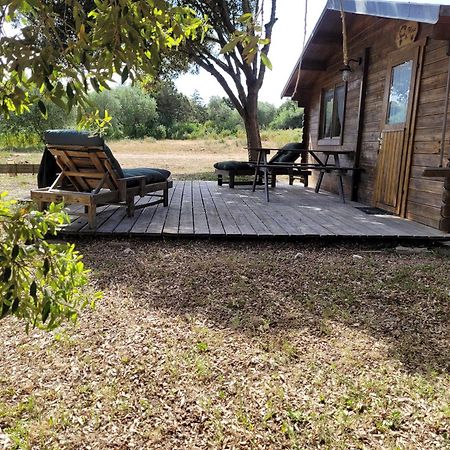 Chalet Climatise Santa Maria A Bonifacio بونيفَسْيو المظهر الخارجي الصورة